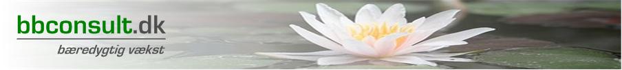 bbconsult.dk